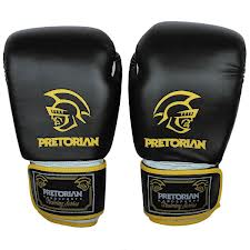 Luvas de Boxe Pretorian Training todos os tamanhos