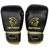 Luvas de Boxe Pretorian Training todos os tamanhos